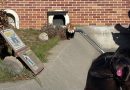 動物園