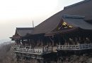 京都旅行に行ってきました！