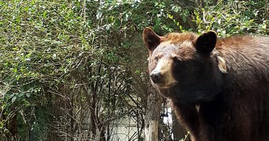 休日のひととき