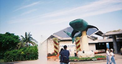 娘の沖縄旅と懐かしカメラ