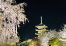 東寺のライトアップ