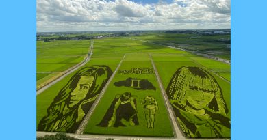 田んぼアート