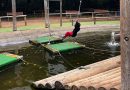 清水公園へ行ってきました
