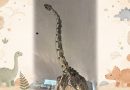 息子と恐竜博物館へ 息子と恐竜博物館へ