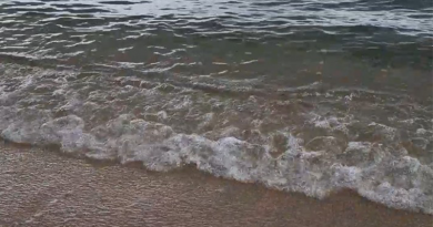 初めての海へ! 初めての海へ!