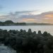 秋の夜釣り